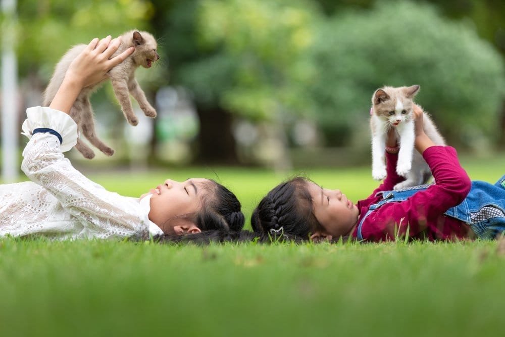 10 Hewan Peliharaan Bantu Perkembangan Mental Anak 1
